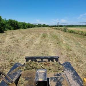 Photo of 3 R's Brush Hogging & Land Services