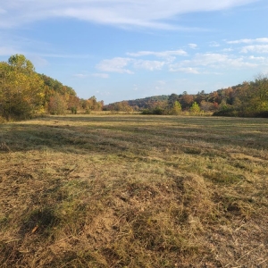 Photo of 3 R's Brush Hogging & Land Services