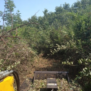 Photo of 3 R's Brush Hogging & Land Services