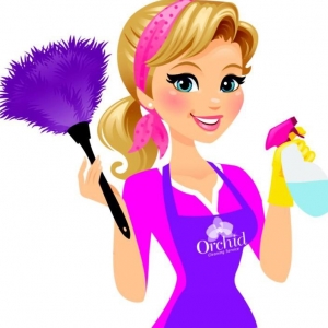 Photo of Alexus's Sunshine Cleaning
