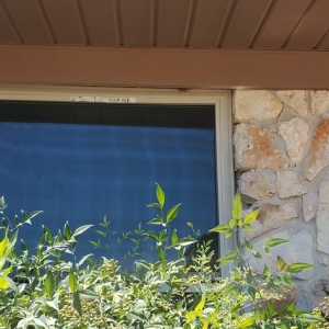Photo of Paradigm Glass