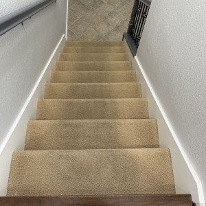 Photo of All Green Carpet Clean