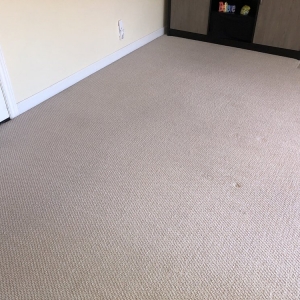 Photo of All Green Carpet Clean