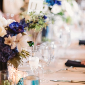 Chicago Bride and Joy Events