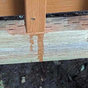 Photo of Box Painting