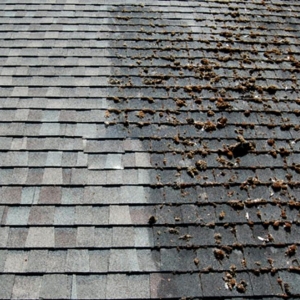 Photo of Expert Roof Cleaners