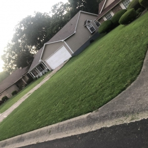 Photo of Yonathan's Lawn Service