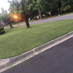 Photo of Yonathan's Lawn Service