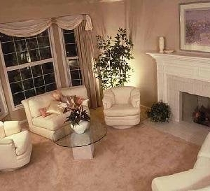 Photo of Newtown Carpet and Upholstery Cleaners