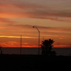 Photo of Coronado Island Realty