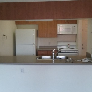 Denver DD's Handyman And Maintenance Services