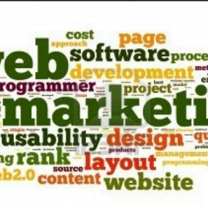Photo of CreDO Web Design
