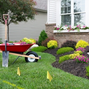 Photo of Local Home Services
