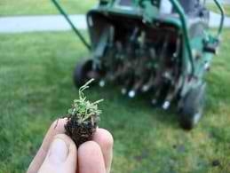 Photo of Merryman's Custom Lawn Care