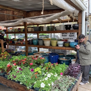 Brooklyn Kings County Nurseries