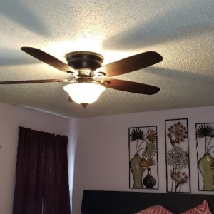 Photo of ZAP Electric