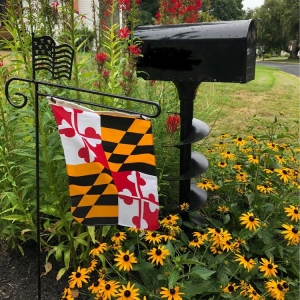Photo of Silver Spring Landscaping