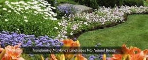 Photo of Silver Spring Landscaping