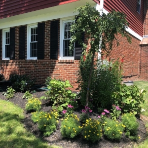 Photo of Silver Spring Landscaping