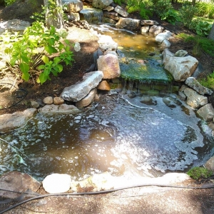 Photo of Home Solutions of Charleston