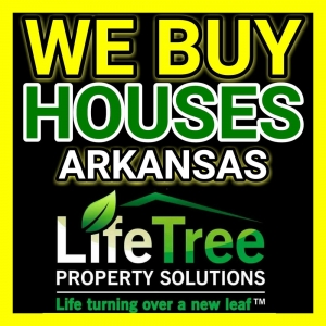 Photo of LifeTree Property Solutions