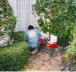 Photo of All Texas Foundation Repair
