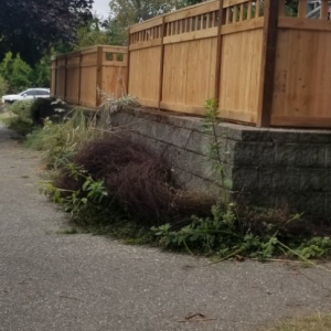 Photo of Nguyen Landscaping and Construction