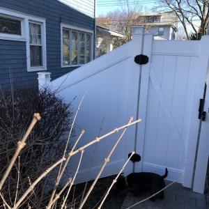 Photo of Design Fencing