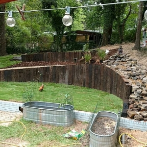 Photo of Organic Lawn Solutions