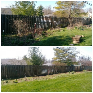 Photo of Ohio Stump Grinding