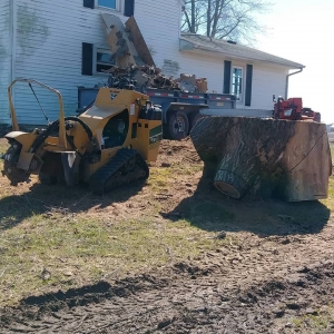 Photo of Ohio Stump Grinding