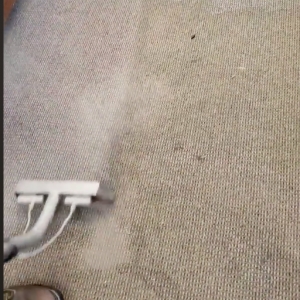 Photo of Steve's Air Duct and Carpet Cleaning