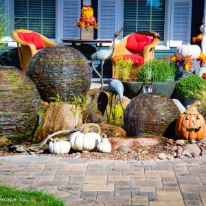 Photo of Magic Garden Dreams