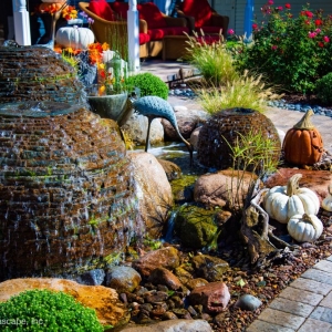 Photo of Magic Garden Dreams