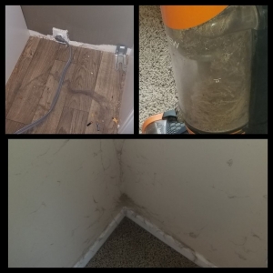 Photo of Spotless Therapy Cleaning Services
