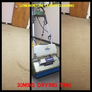 Photo of Spotless Therapy Cleaning Services