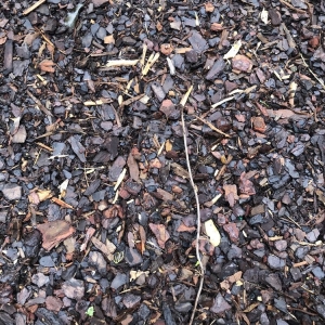 Photo of Sand'N Soil