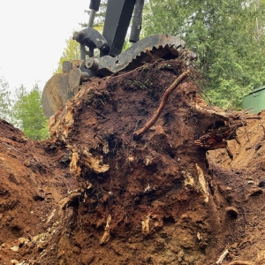 Photo of Baxter's Excavation & Tree Removal