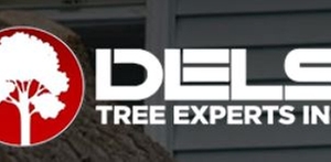 Photo of Dels Tree Experts