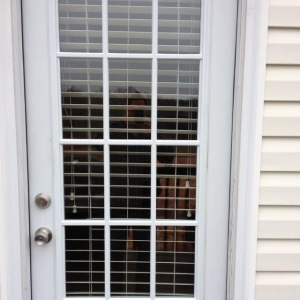 Photo of Atlanta Glass Repairs