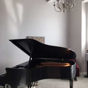 Fenton A Piano's Friend