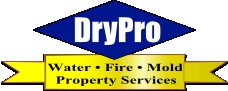 Photo of DryPro
