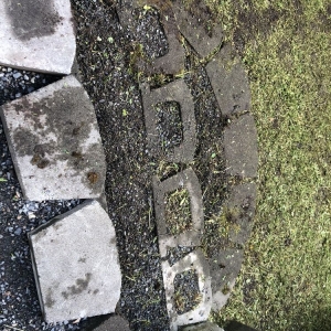 Photo of HR Landscaping Services