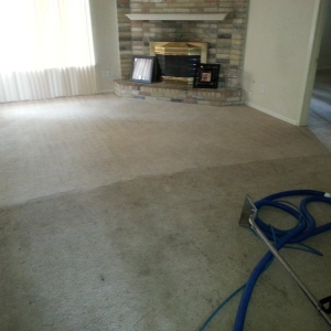 Spring 1st Choice Carpet Cleaning