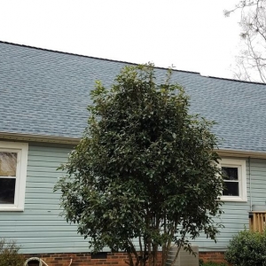Photo of All American Roofing and Restoration
