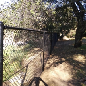 Photo of Amos Fence