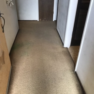 Photo of West Coast Floor Cleaning Professionals