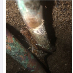 Photo of Carter's My Plumber