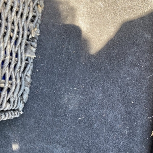 Photo of Forest Car Wash & Detail