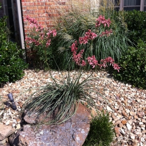 Photo of All Seasons Landscape Management